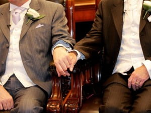 Matrimonio gay. Un debate social en la arena partidista