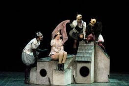 Lope de Vega y los gatos enamorados. De «El verdadero amante»