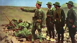 Franco en campaña