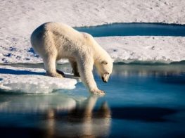 Apocalipsis y cambio climático