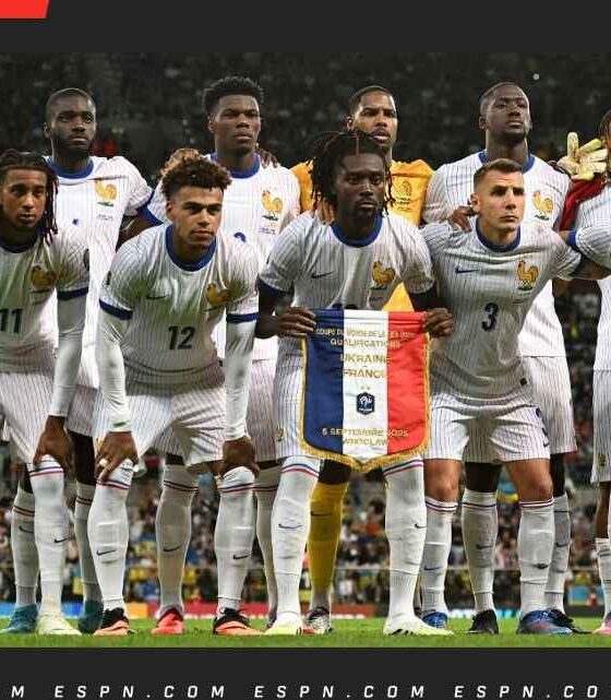 ¿Franceses y africanos?